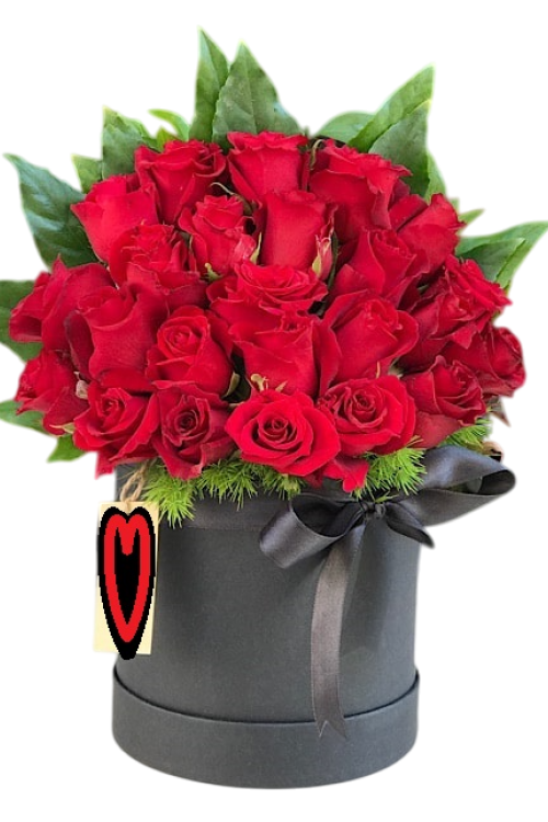 Kutuda 25 Kırmızı Gül