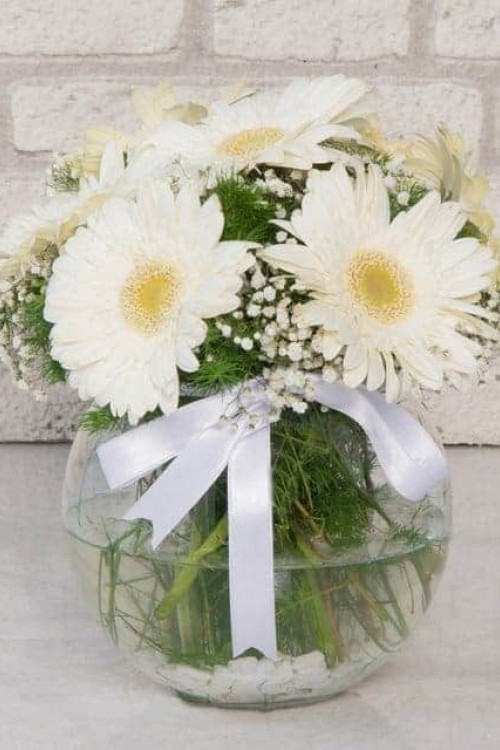 Beyaz Gerbera Aranjmanı