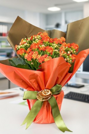 Turuncu Kalanchoe çiçeği