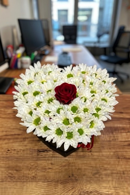 Kalp Kutuda Beyaz Papatya Tek Gül