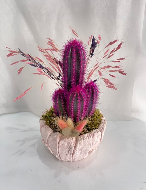 Teraryum Özel Kaktüs