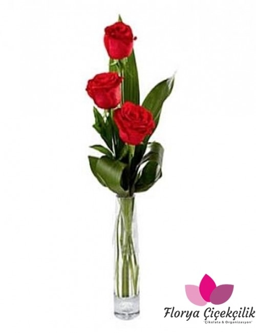 Fülüt Vazoda 3 Gül
