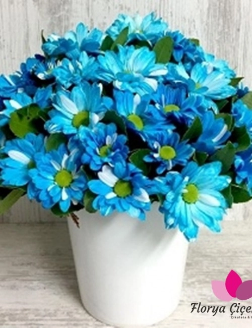 Seramik Vazoda Mavi Papatyalar