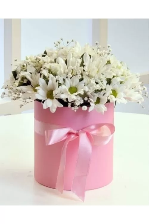 Pembe Kutuda Beyaz ve Pembe Çiçek