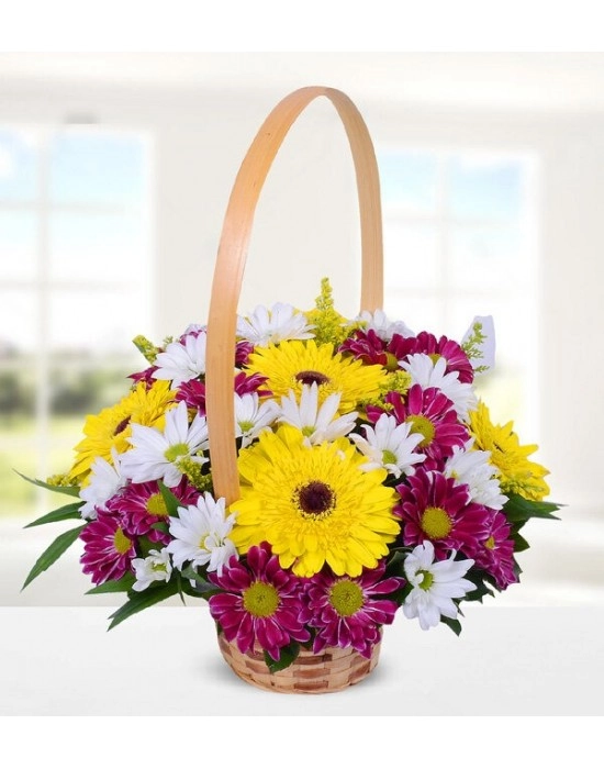 Sarı Gerbera ve Renkli Krizantem