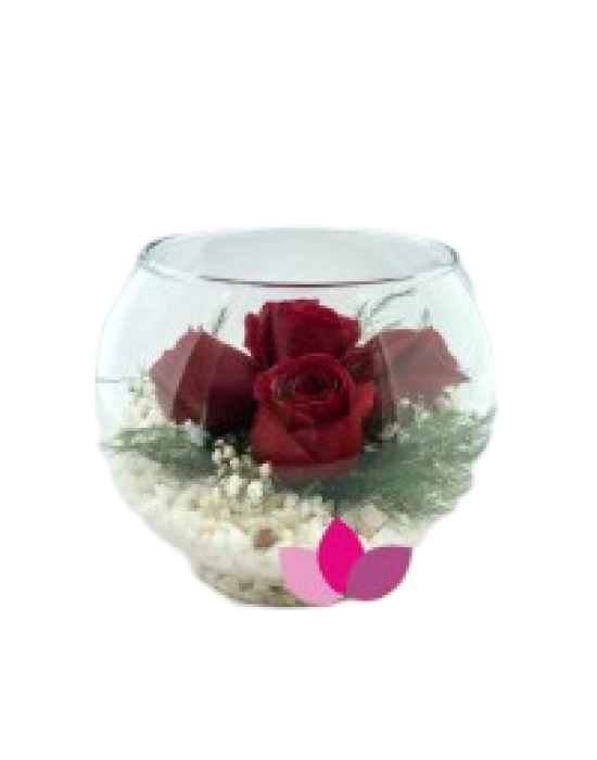 Fanusta 5 Gül Aranjmanı