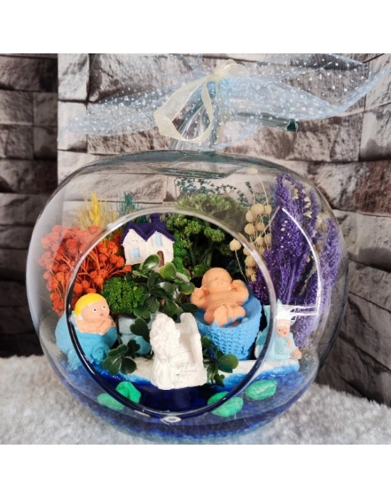 Hoşgeldin Bebek Teraryum