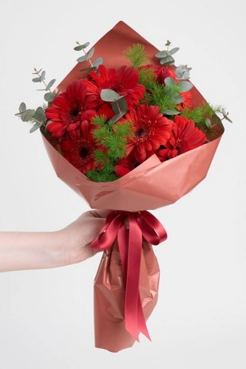 Kırmızı Gerbera Buketi