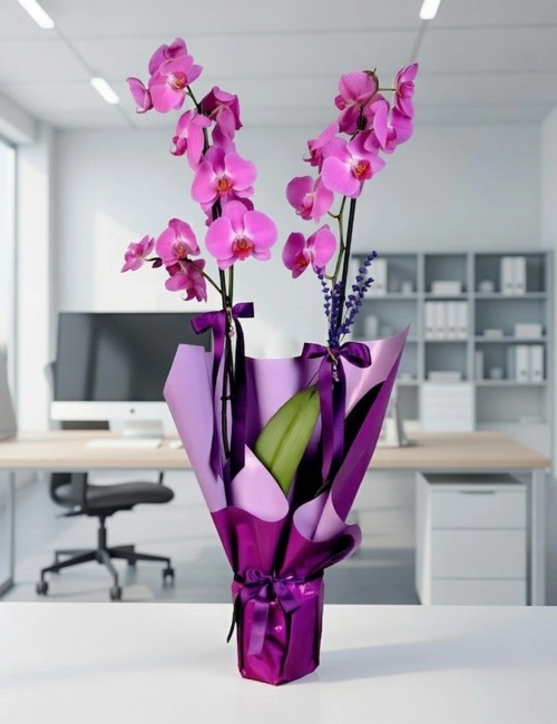 Mor Lila Orkide İkili