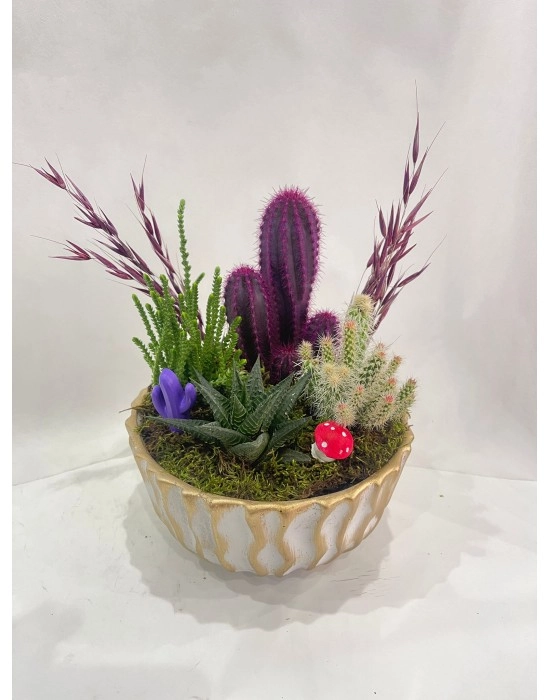 Kalp Aşk Kaktüs Özel