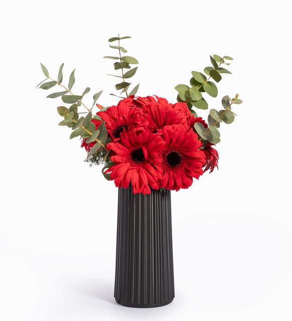 Kırmızı Gerbera Zarafeti: Siyah Vazoda Modern Aranjman